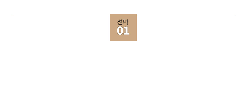 [1+1] 크리스마스 분위기 쿠션커버 5종 택1 (45x45) 상세 이미지 3